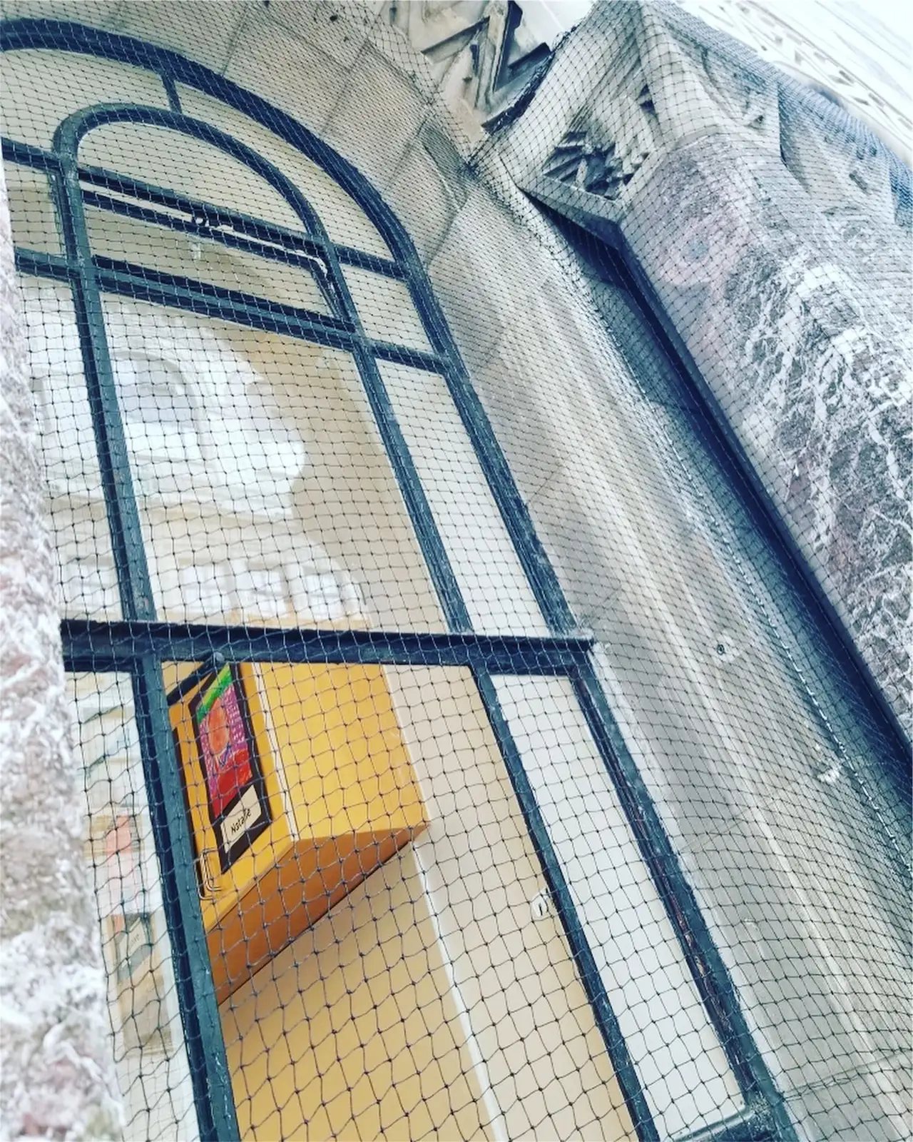 bird netting installed to block nesting and roosting areas for Netting Photos