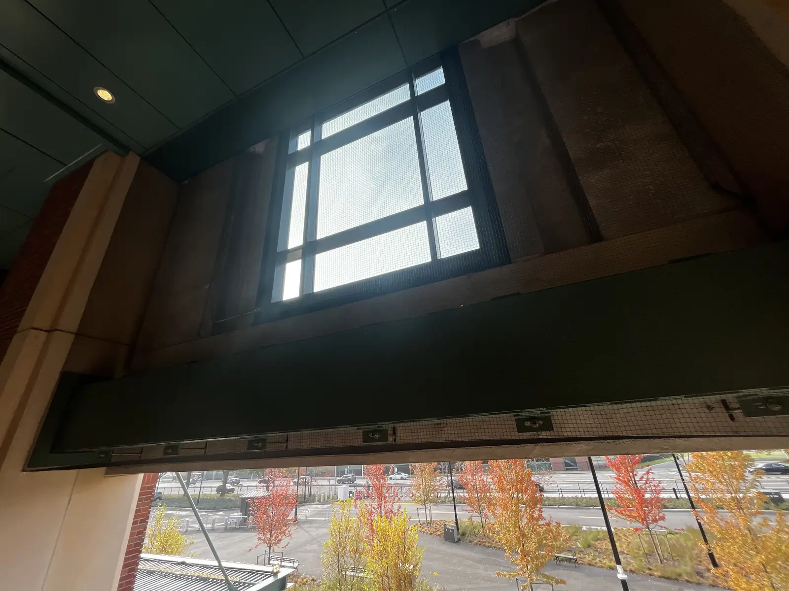 bird netting installed to block nesting and roosting areas for Netting Photos