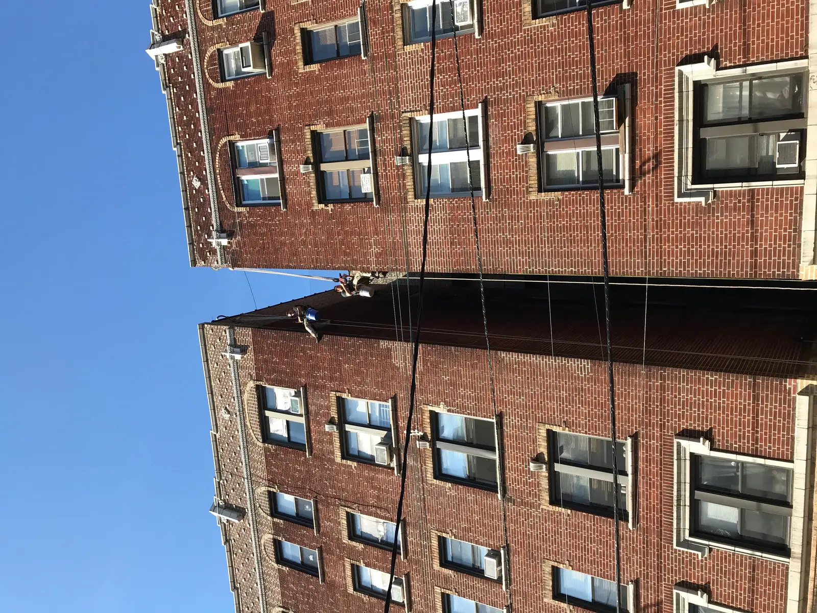 bird wire exclusion installed on a commercial ledge for Seagull or Seabird Wire Grid System Photos