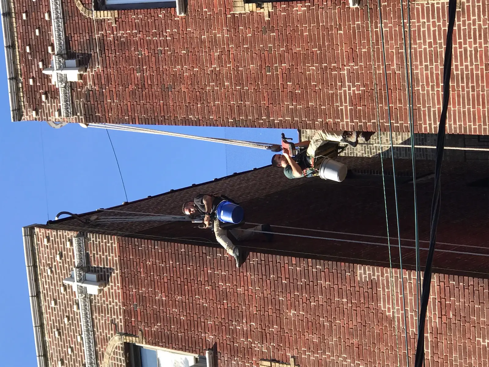 bird wire exclusion installed on a commercial ledge for Seagull or Seabird Wire Grid System Photos