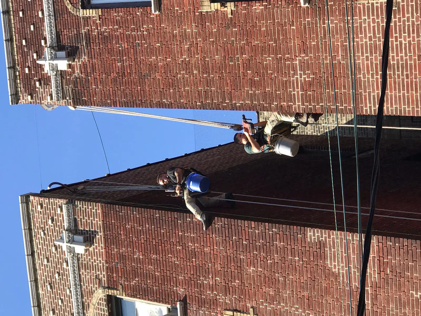 bird wire exclusion installed on a commercial ledge for Seagull or Seabird Wire Grid System Photos