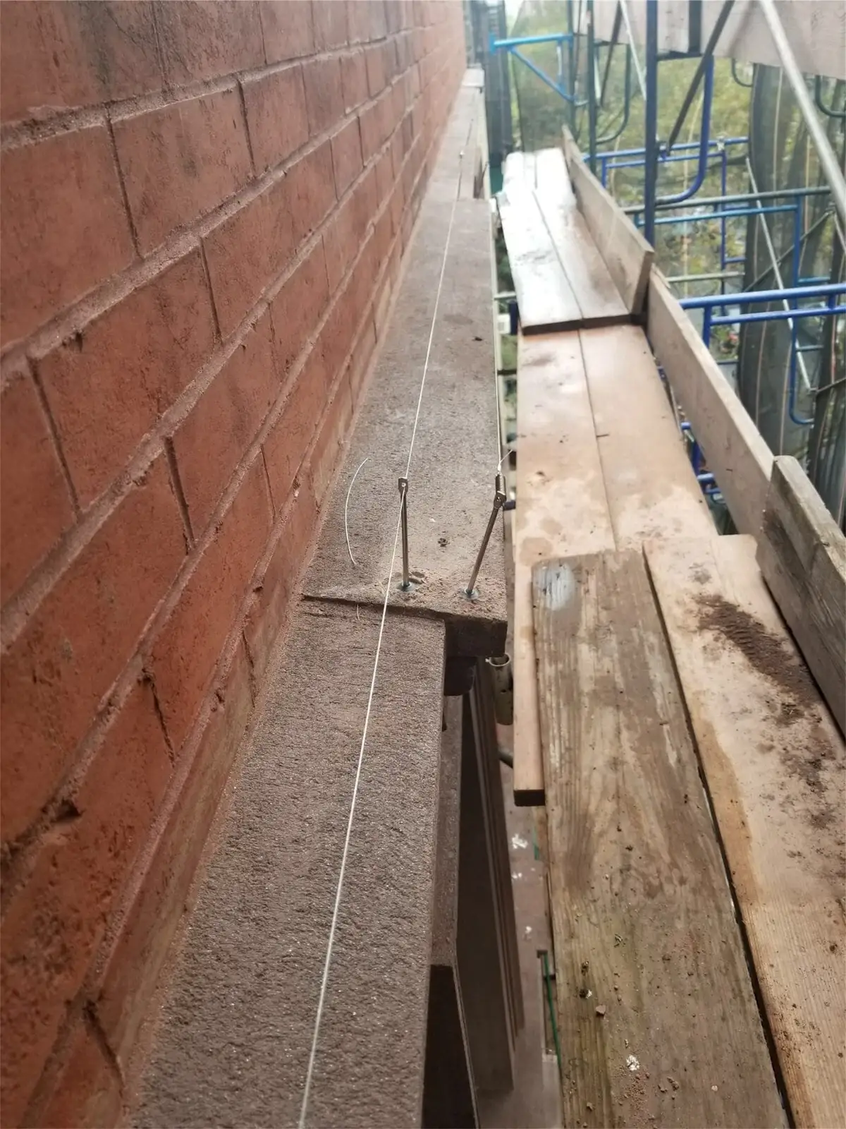 bird wire exclusion installed on a commercial ledge for Seagull or Seabird Wire Grid System Photos