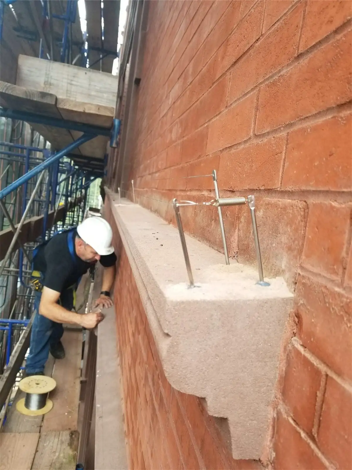 bird wire exclusion installed on a commercial ledge for Seagull or Seabird Wire Grid System Photos