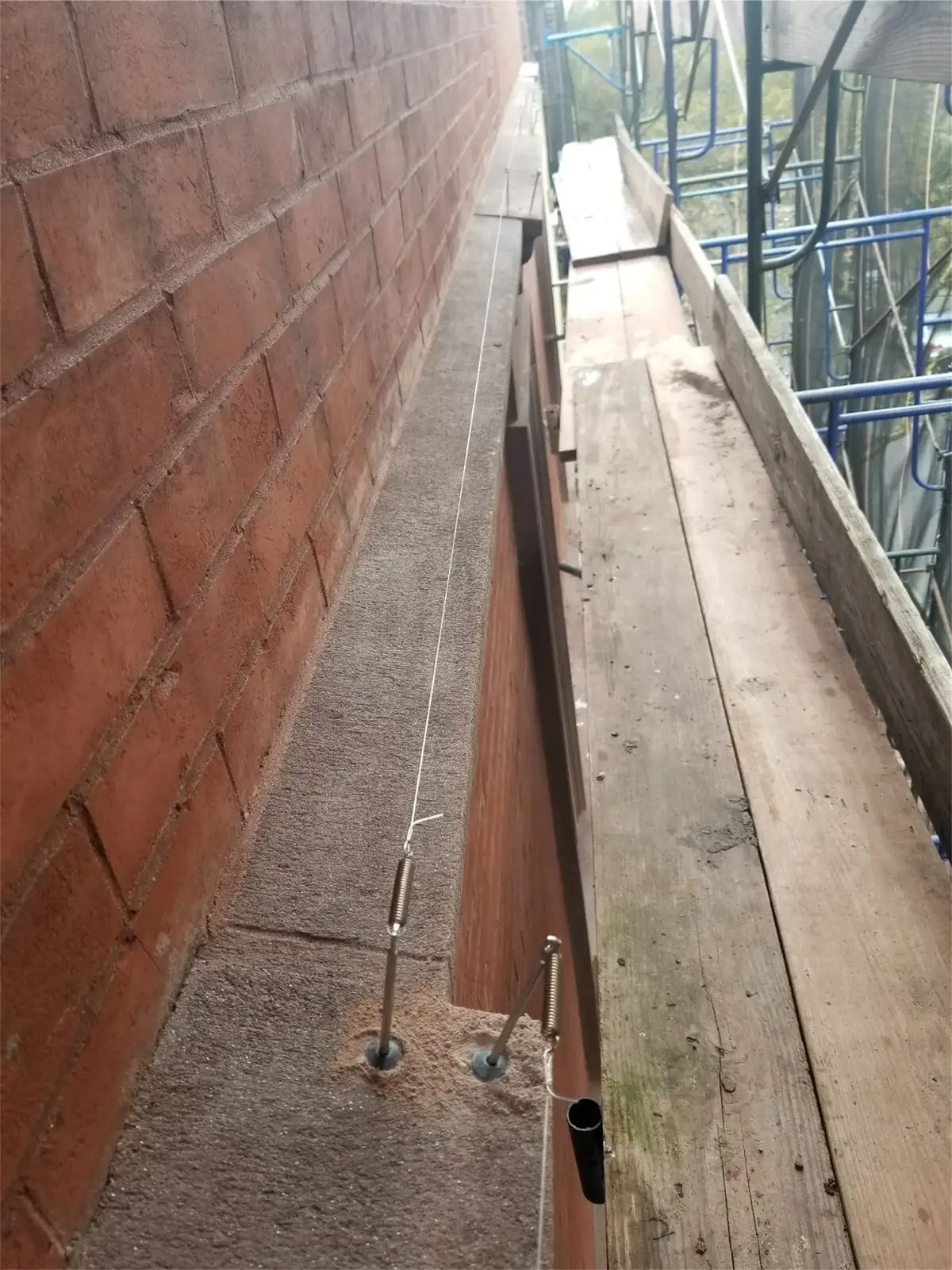 bird wire exclusion installed on a commercial ledge for Seagull or Seabird Wire Grid System Photos