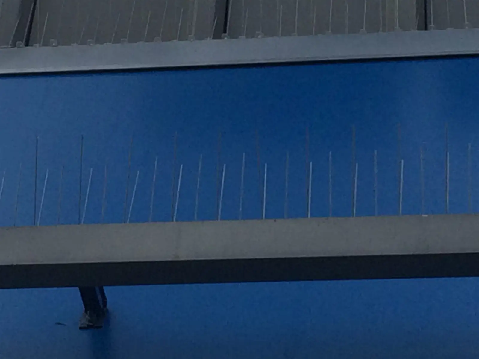 bird spikes installed to deter nuisance birds for Spike Photos
