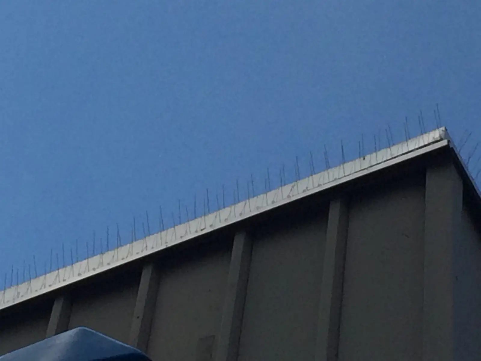 bird spikes installed to deter nuisance birds for Spike Photos