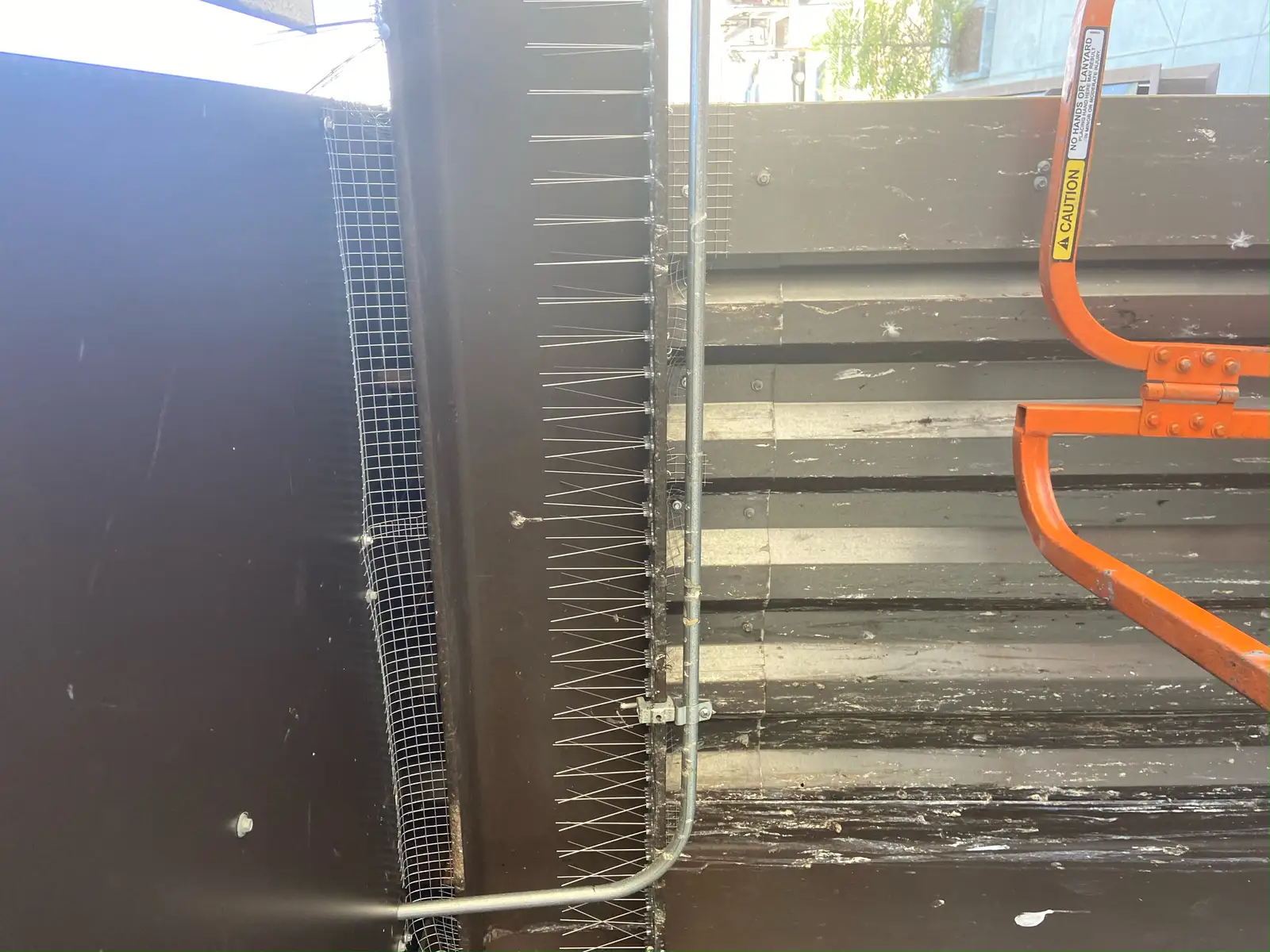 bird spikes installed to deter nuisance birds for Spike Photos