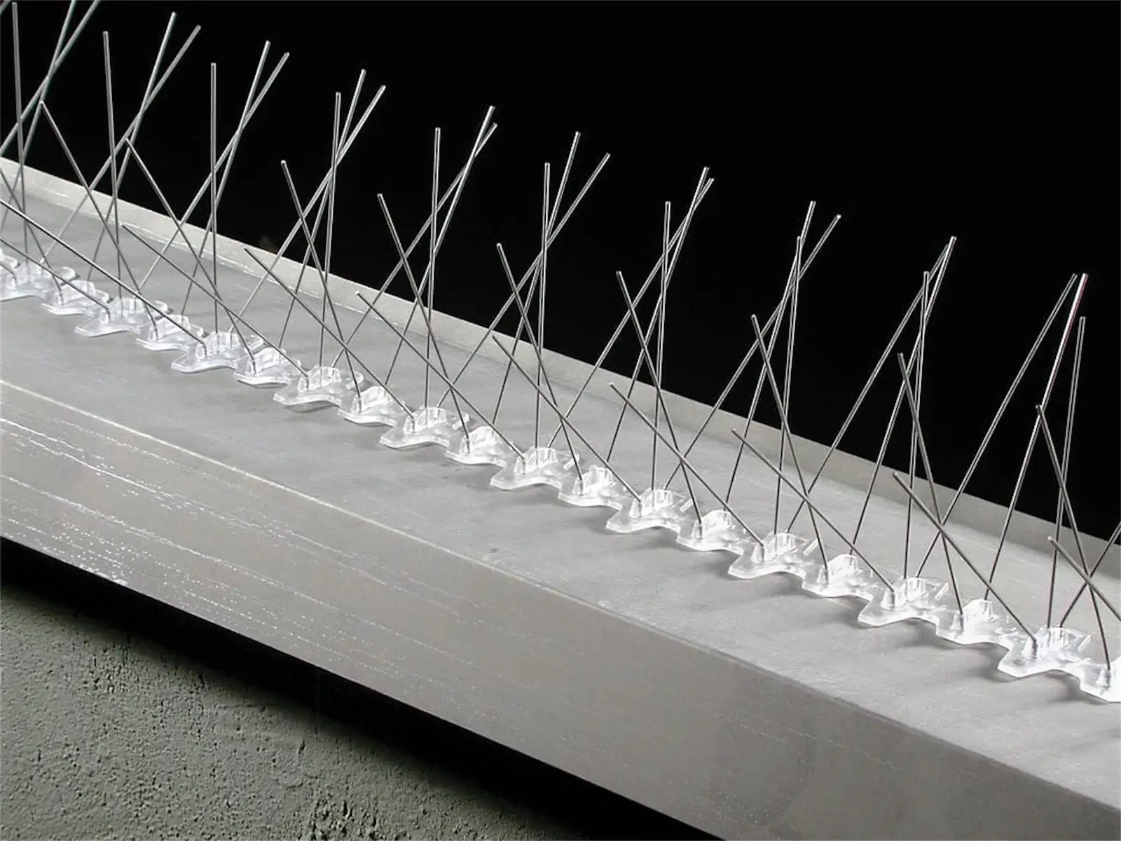 bird spikes installed to deter nuisance birds for Spike Photos