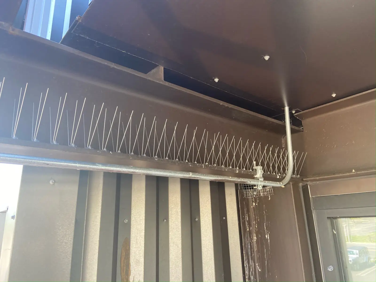 bird spikes installed to deter nuisance birds for Spike Photos
