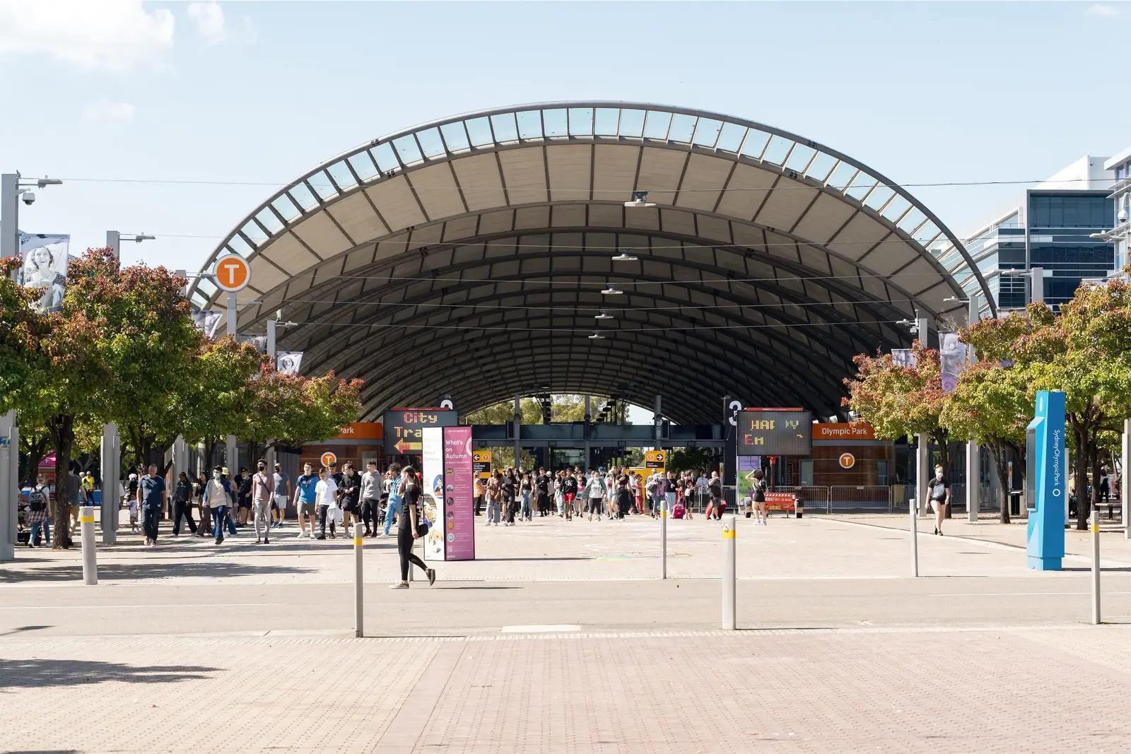 commercial property conditions for bird and geese control planning for Basketball Court Bird Control