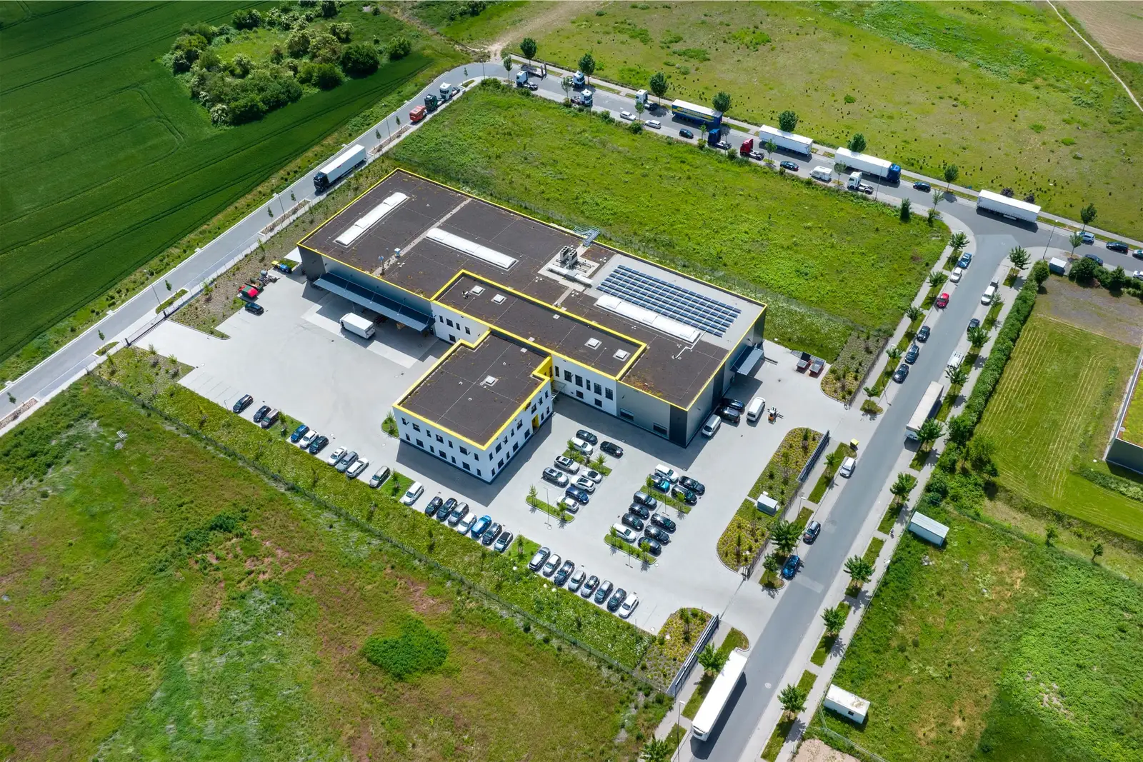 commercial property conditions for bird and geese control planning for Catering Hall Wedding Facility Bird Control