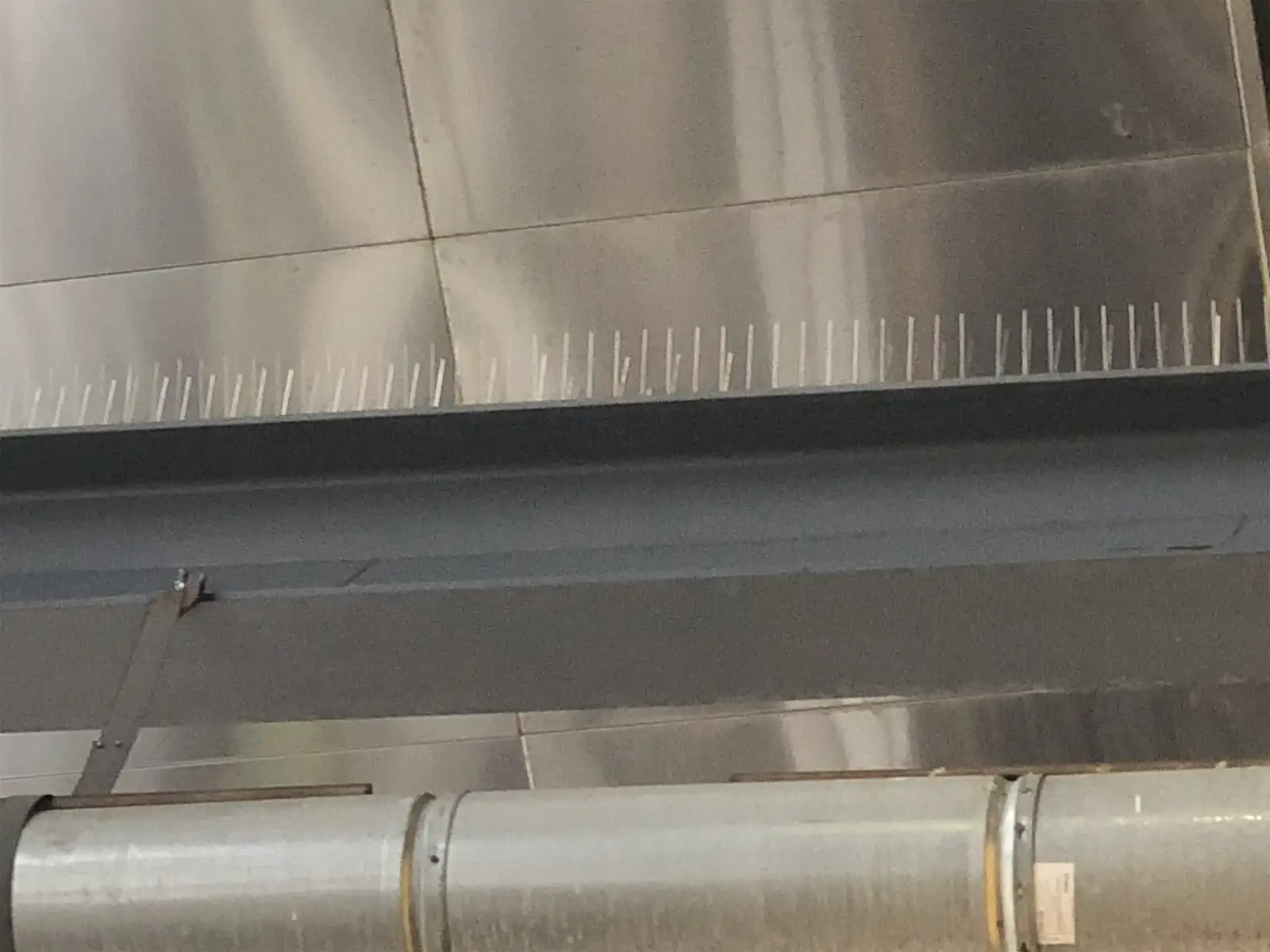 bird spikes installed to deter nuisance birds for Cemetery Canada Geese Control