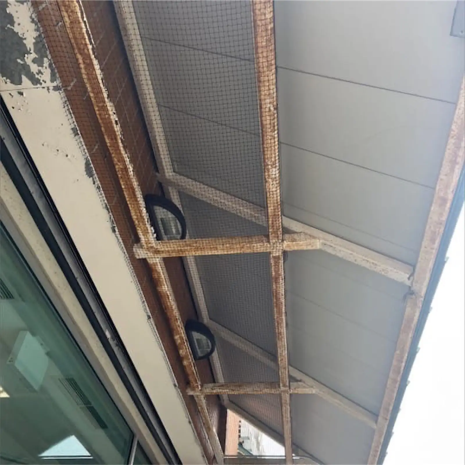 bird netting installed to block nesting and roosting areas for Lodging Industry Canada Geese Control