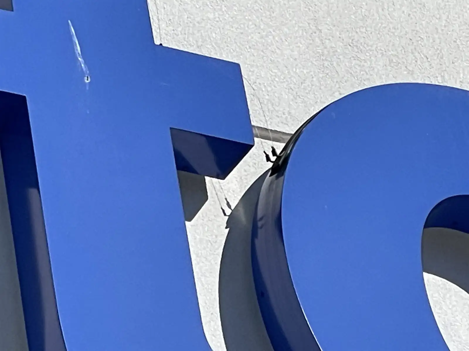 low-profile shock track bird deterrent on a building surface for Property Damage Caused By Birds Nesting