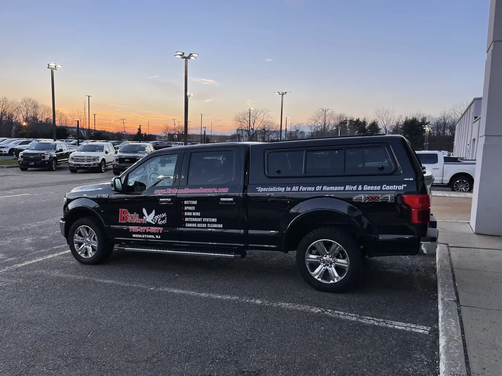 Birds & Geese Beware field team and service branding for Myths Canada Geese Human Health