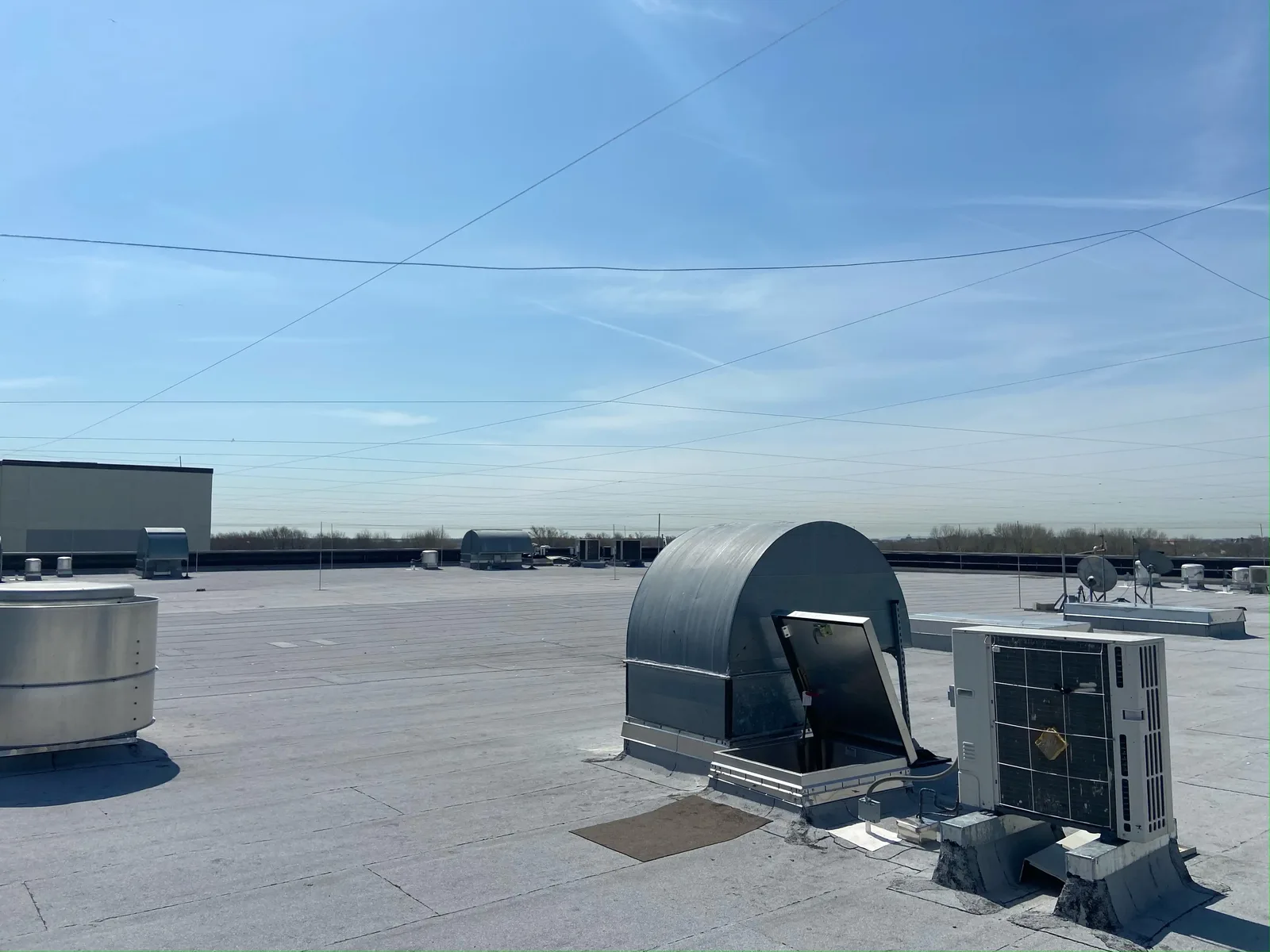 Overhead wire-grid system keeping gulls off a flat roof