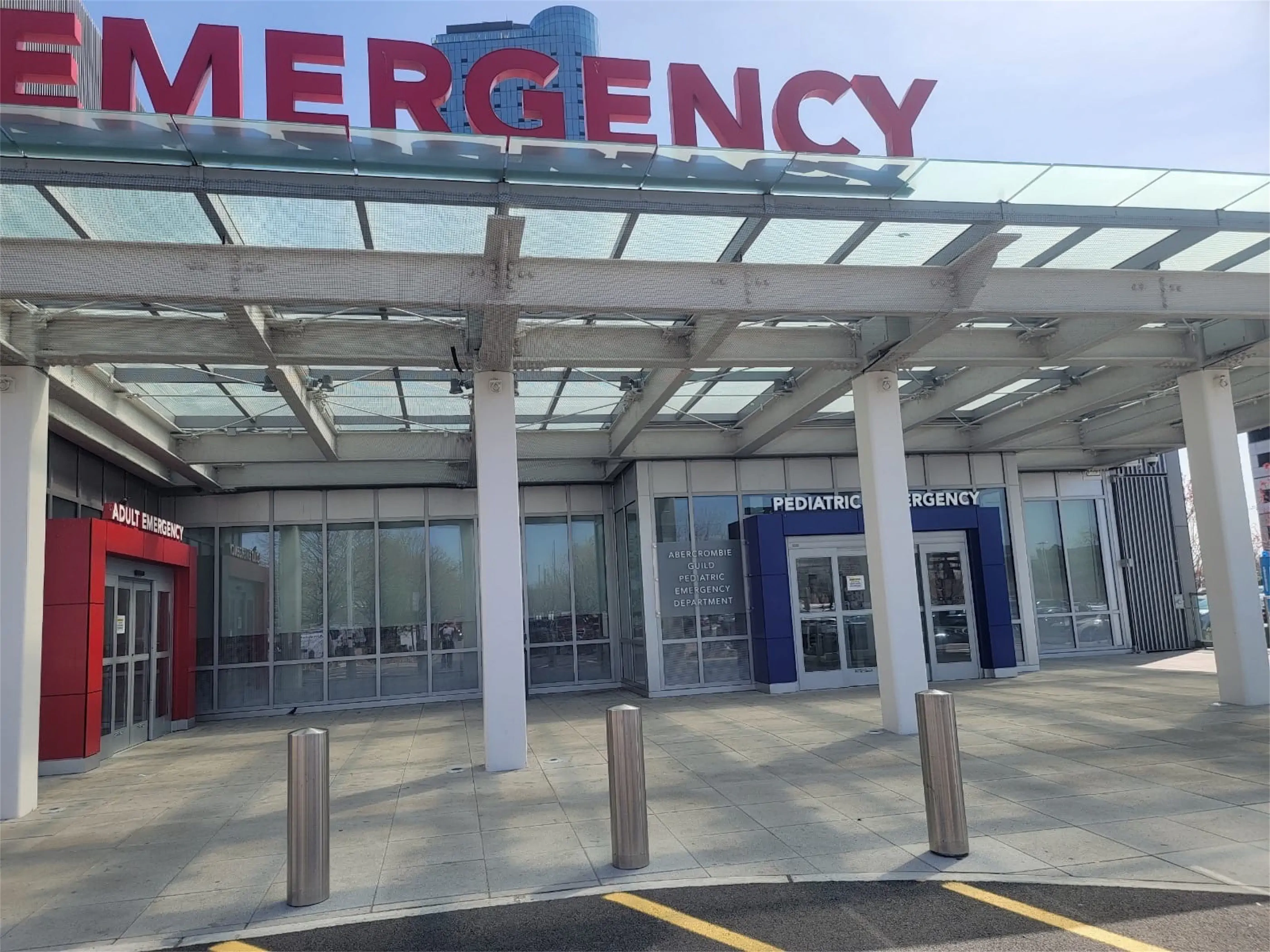 Custom bird netting panel sealing a commercial structure in New Jersey