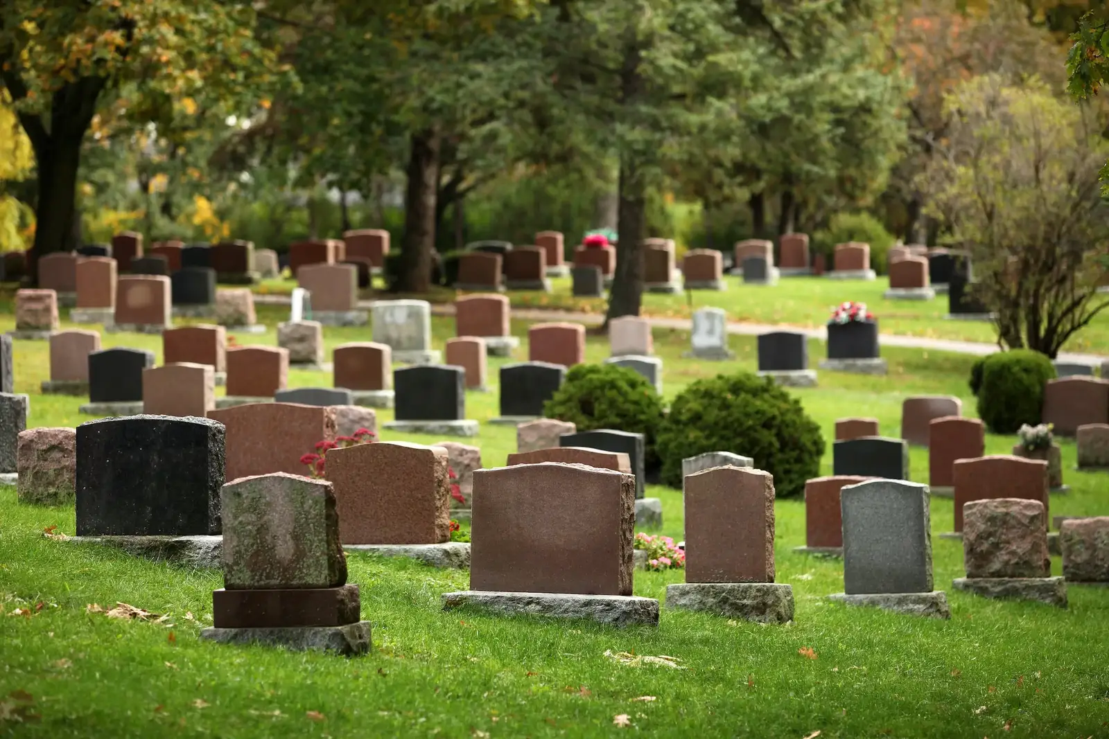 Bird control for cemeteries