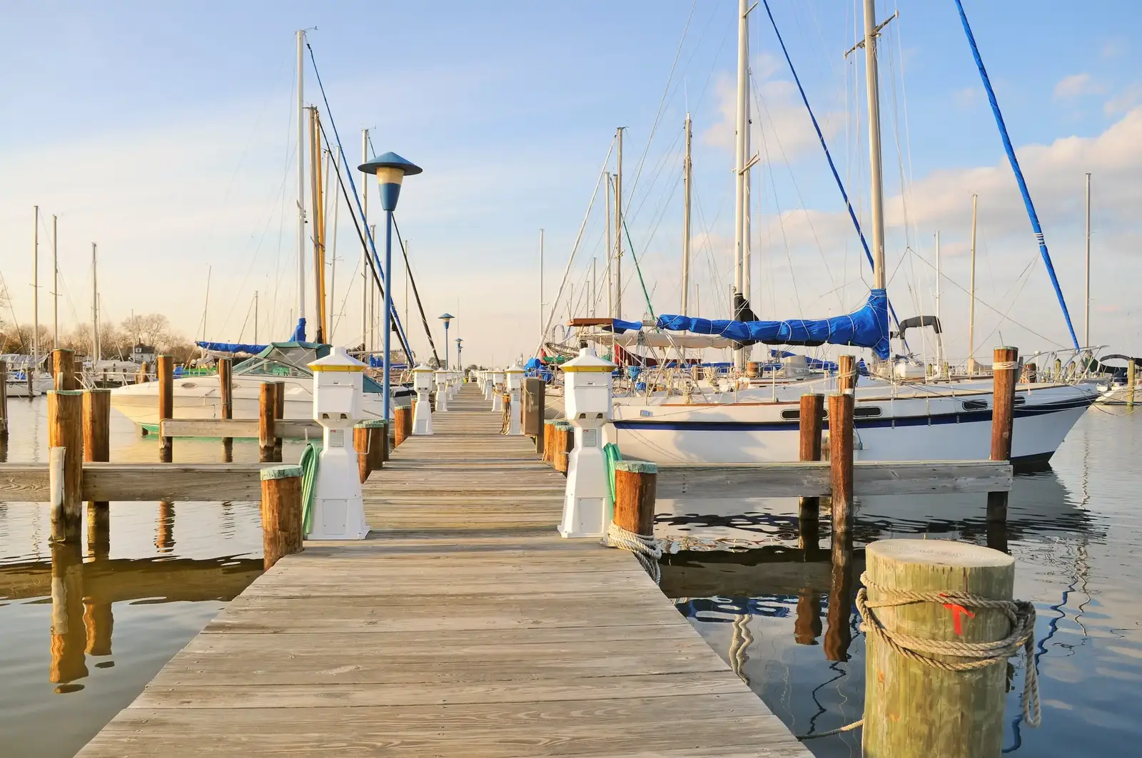 Bird control for docks & marinas