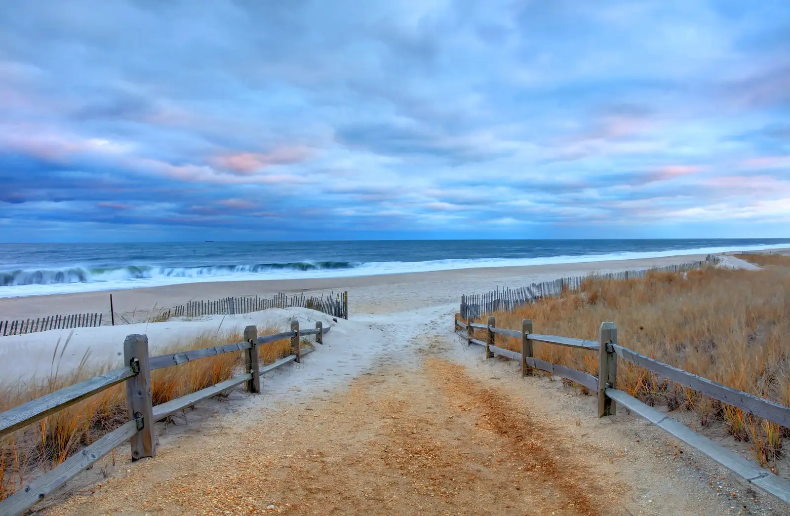 Bird control for beaches