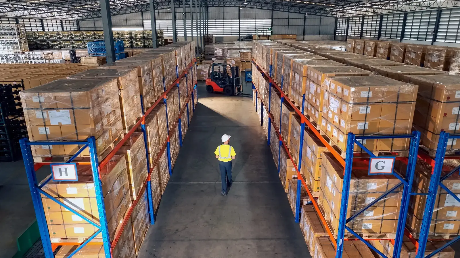 Bird control for waste management facilities & transfer stations