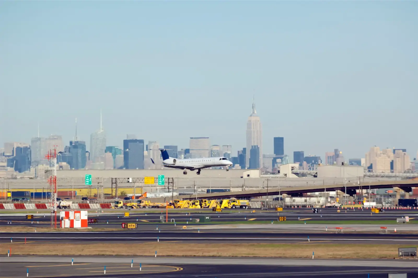 Bird control for airports