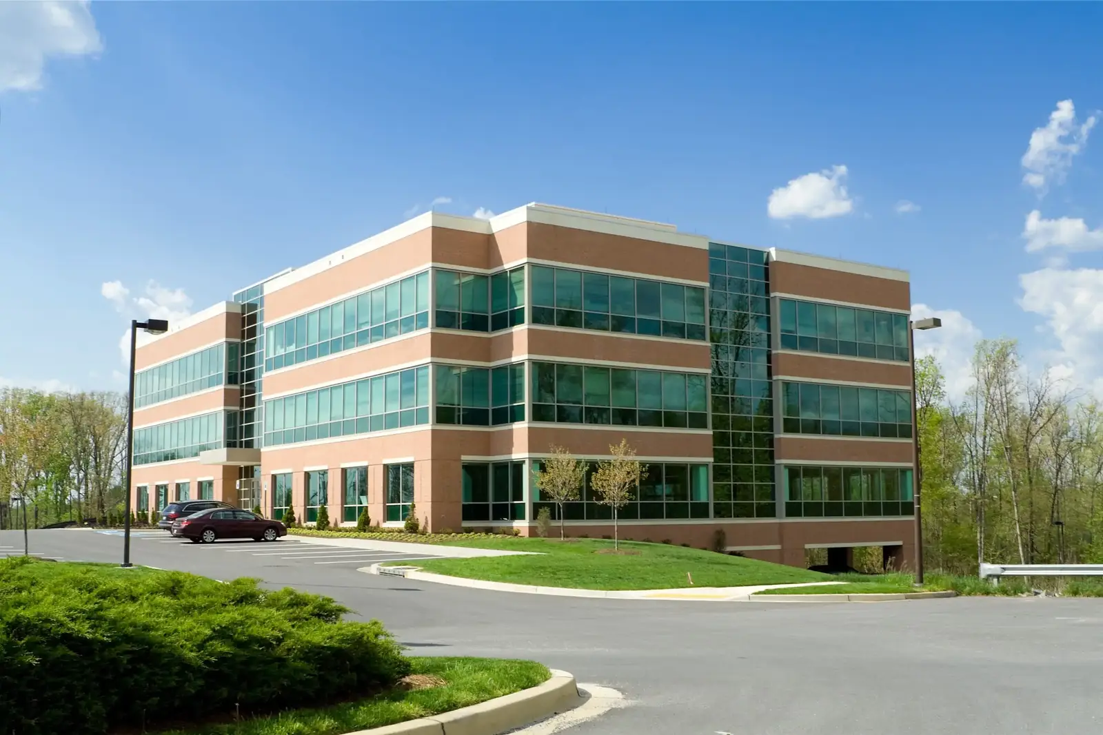 Canada geese control for commercial properties