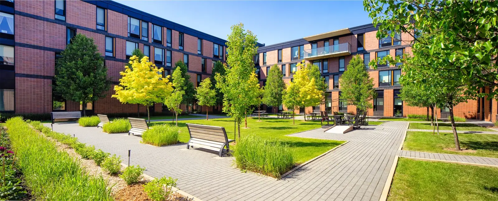 Canada geese control for property management companies