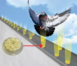 How Optical Gel works