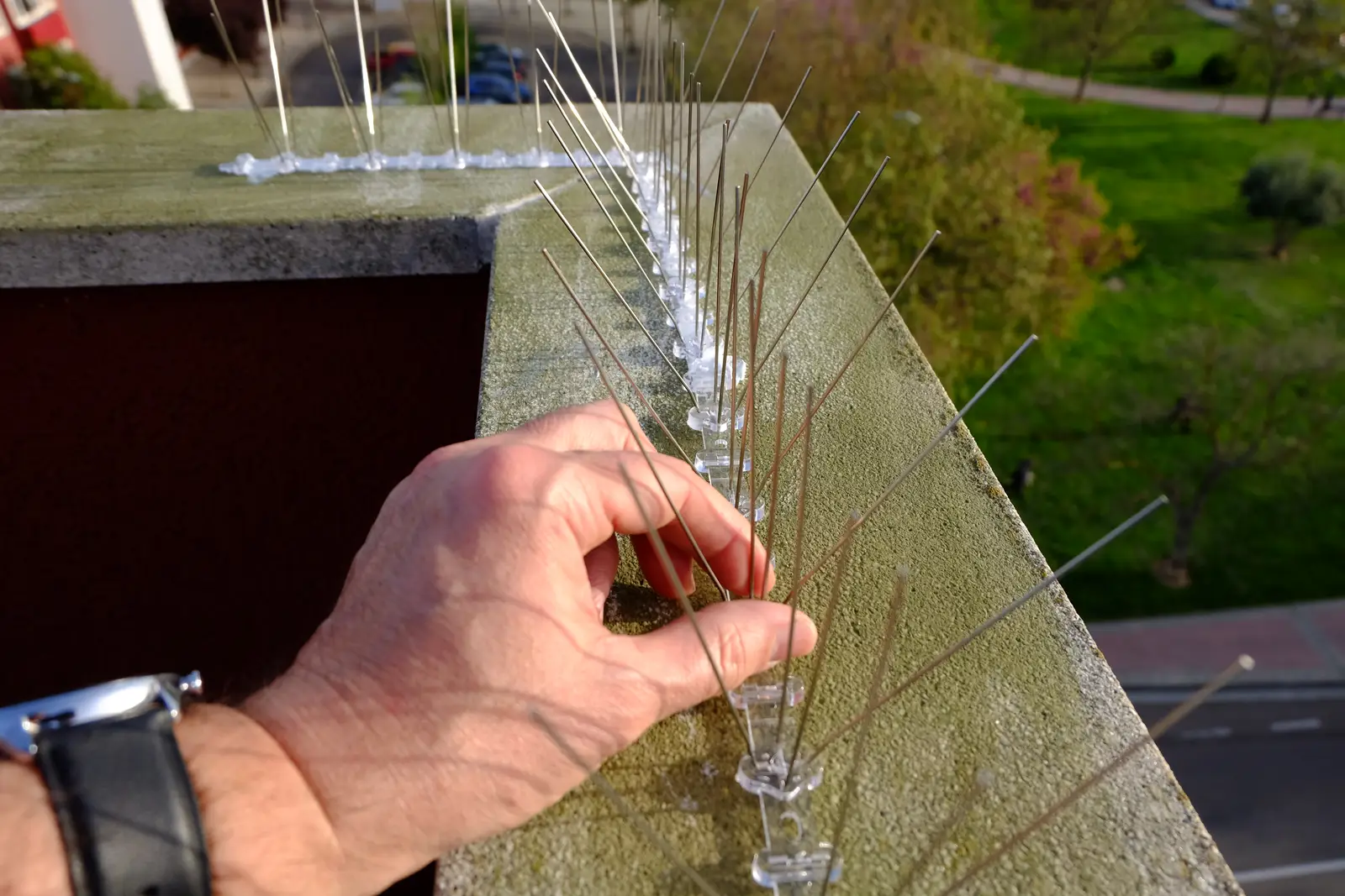 Bird spike installation across NJ, NY & CT