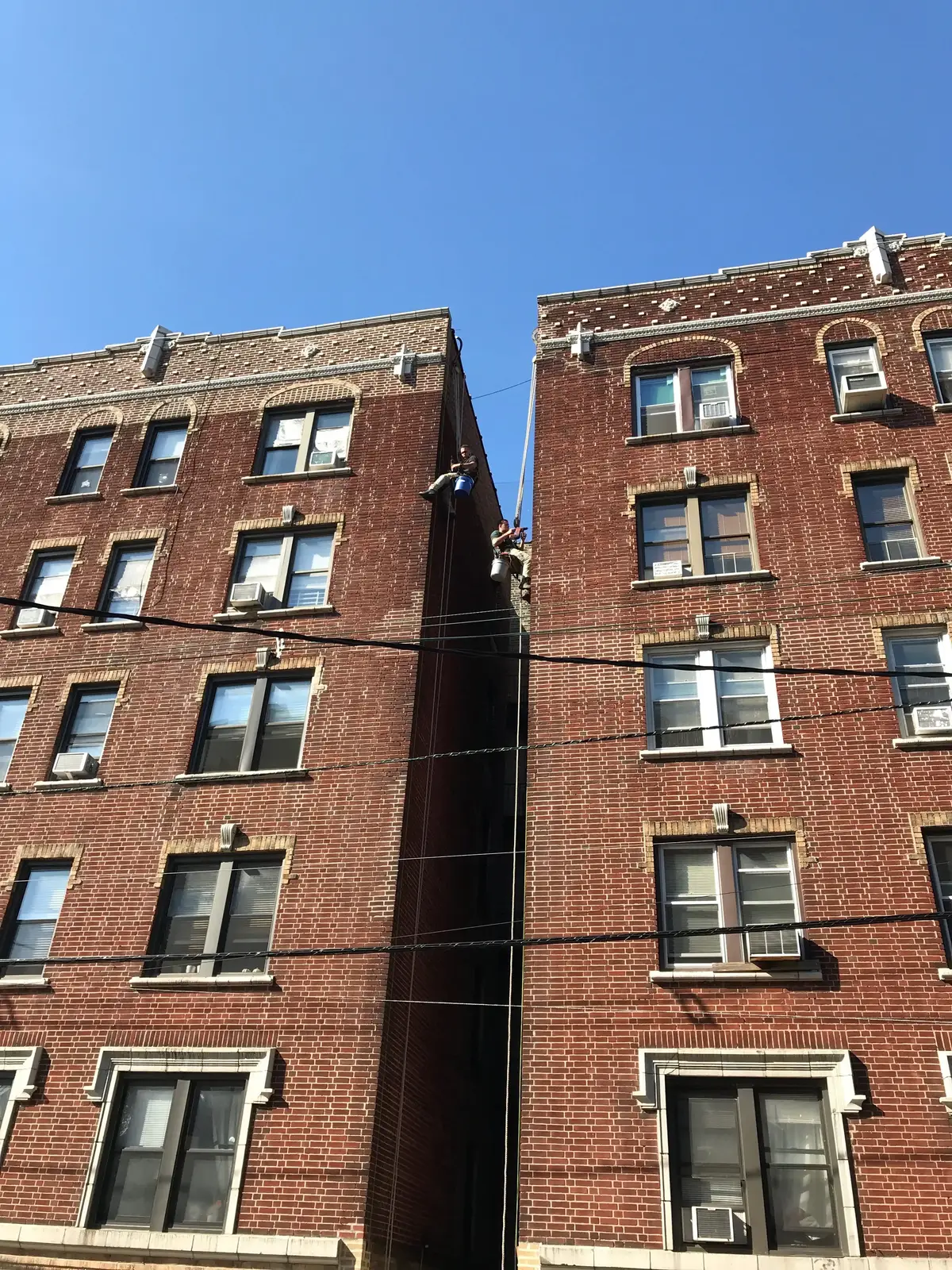 Commercial bird wire deterrent across NJ, NY & CT