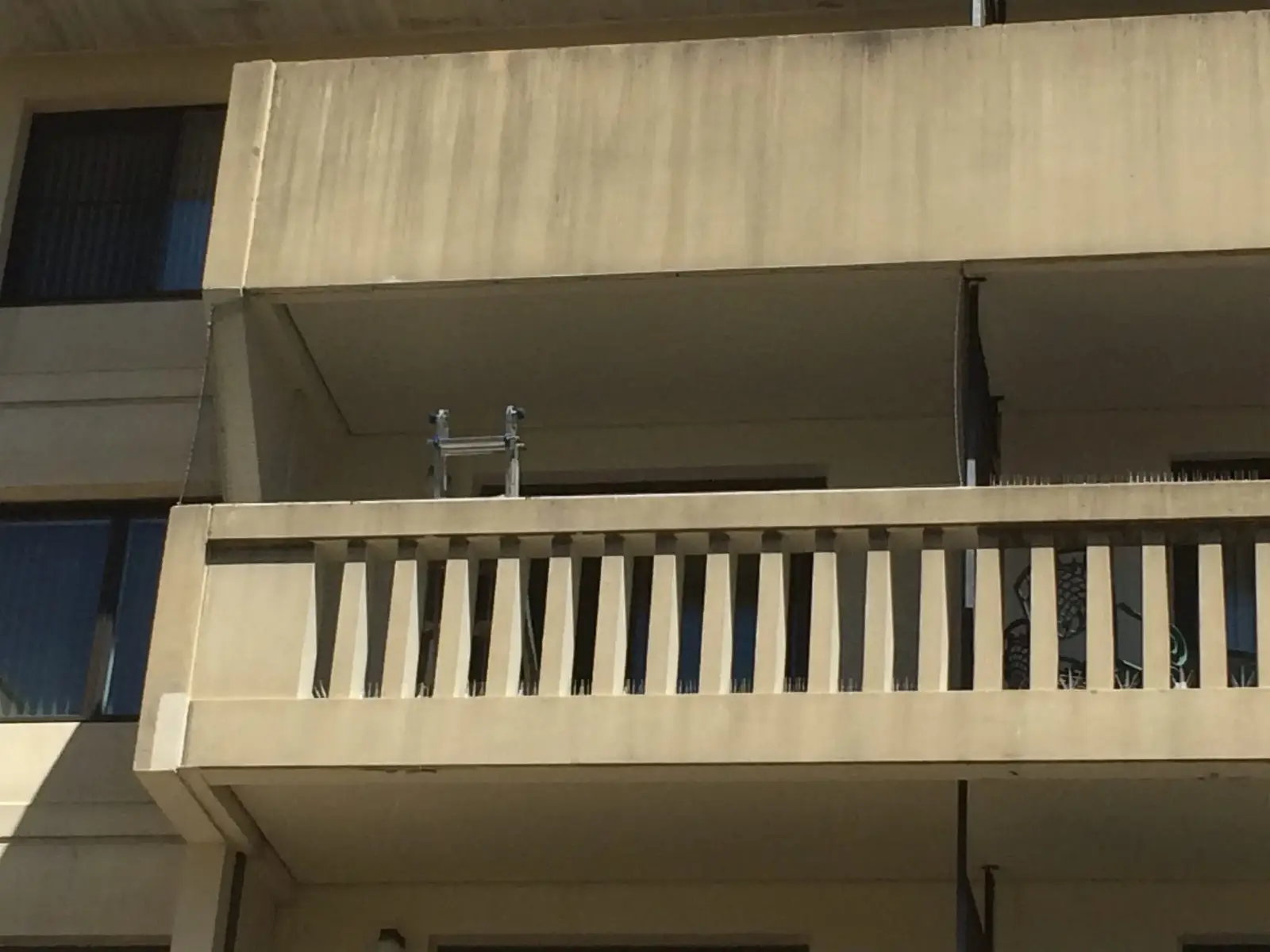 Bird control for multi-tenant properties and portfolios