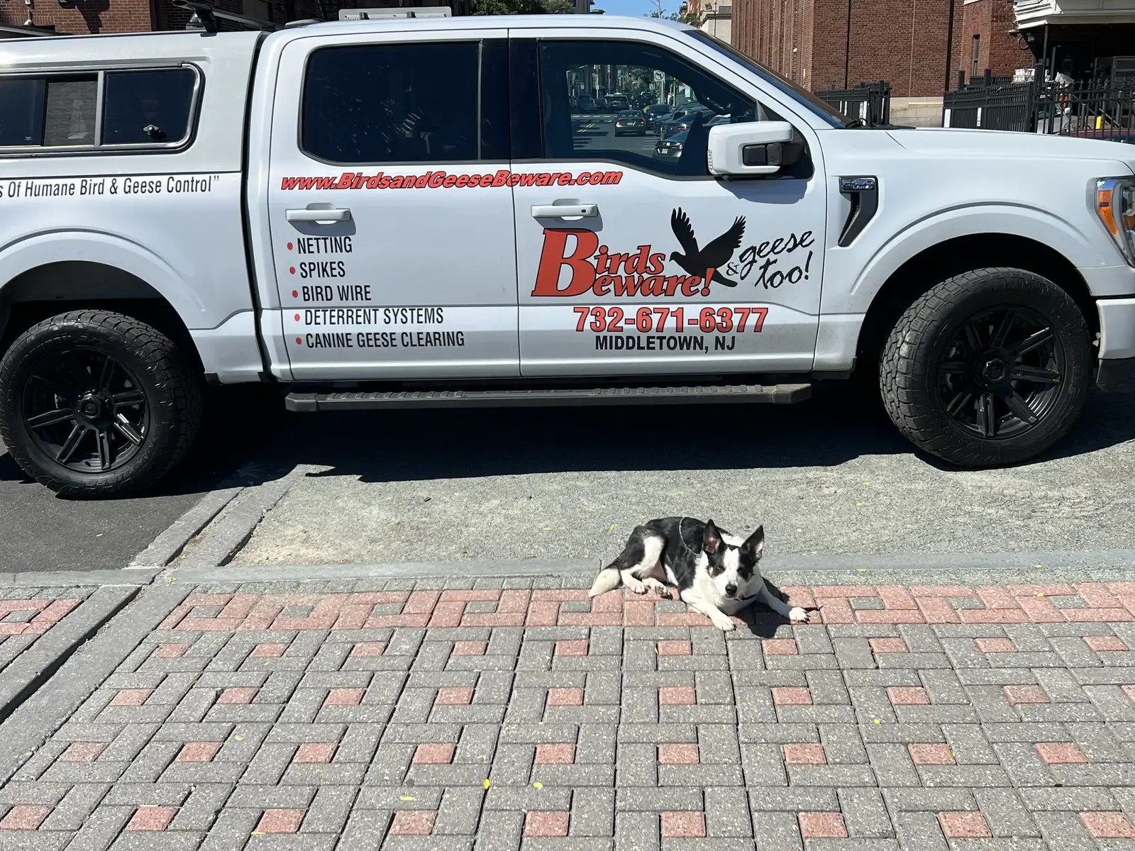 Scheduled around residents, not around us