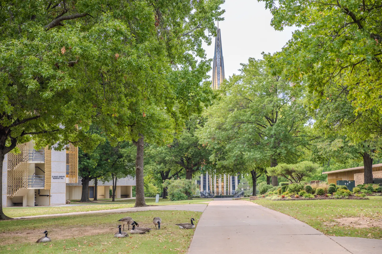 How a campus engagement runs