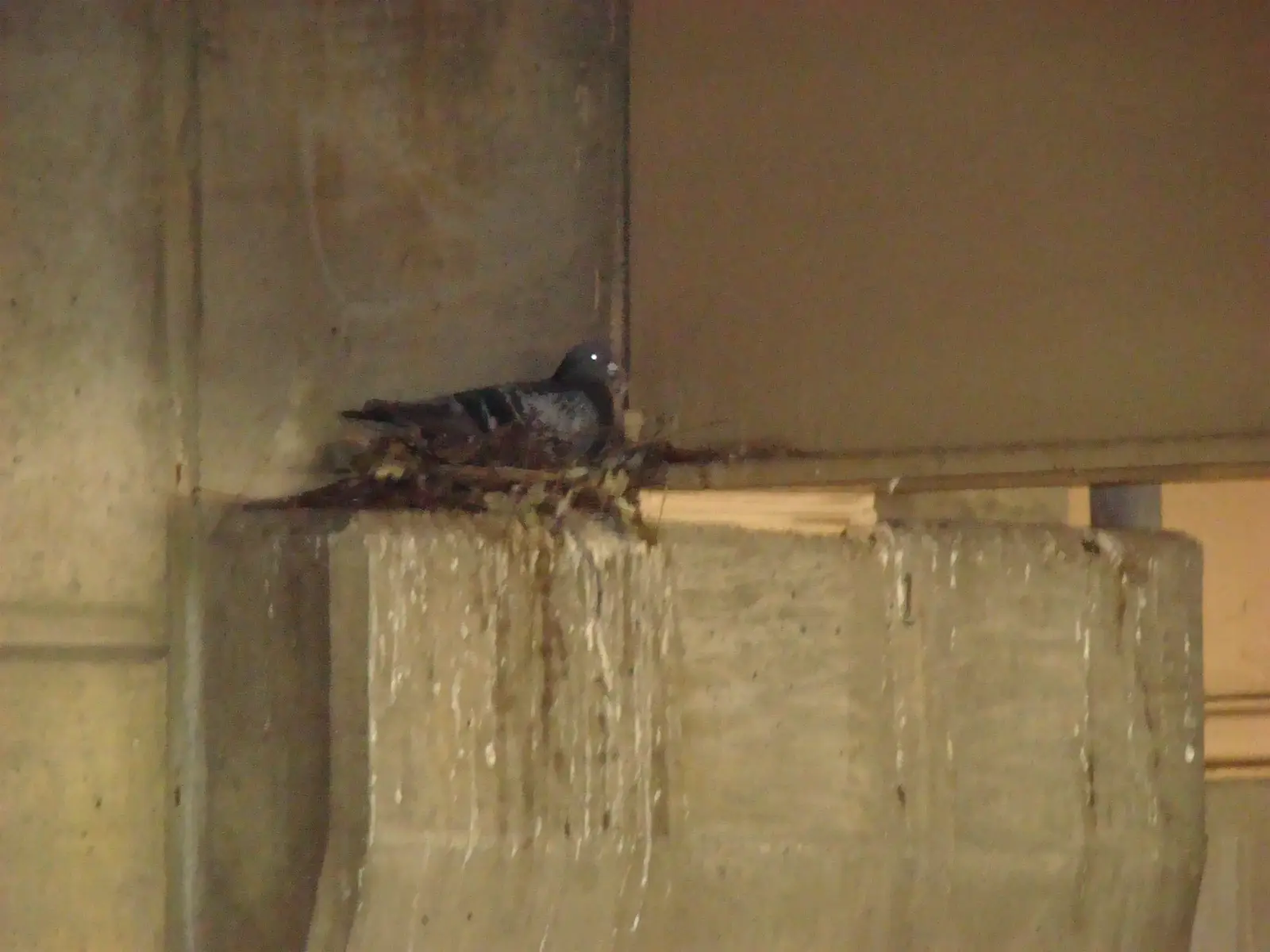 Sanitation and resident safety come first