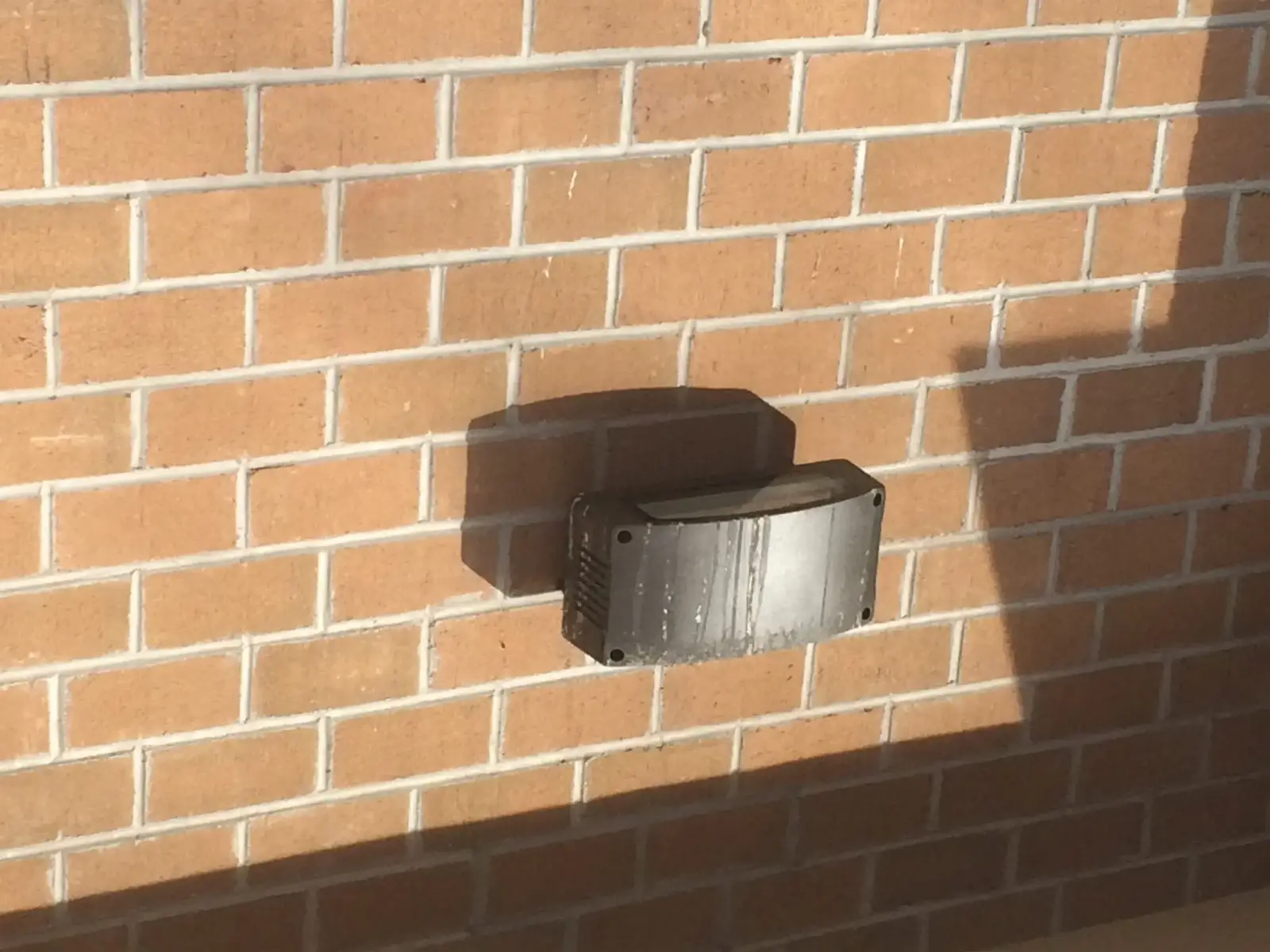 Where birds settle around a court