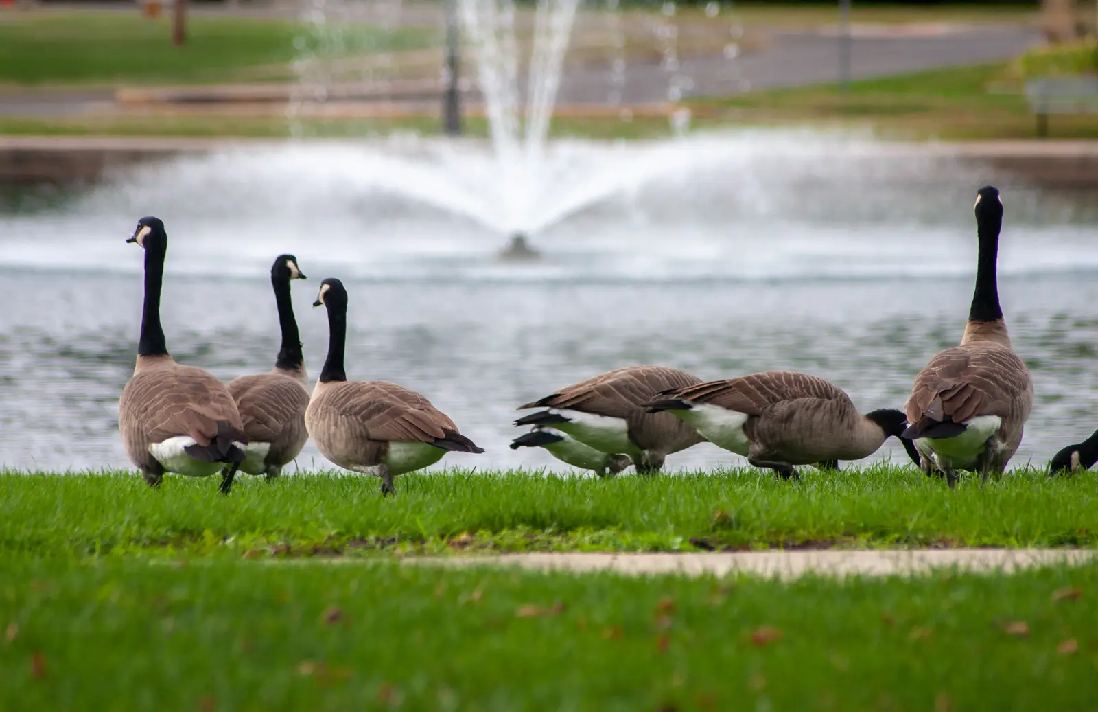 What a department-wide program has to handle