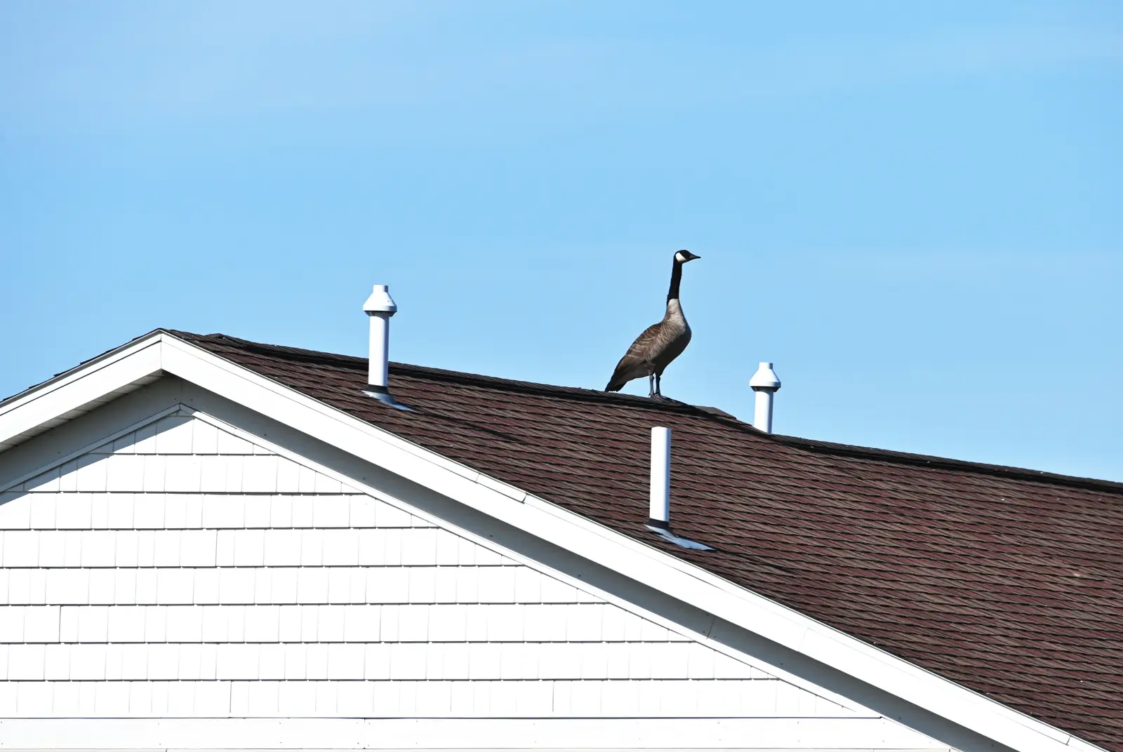 A safe, roof-first process