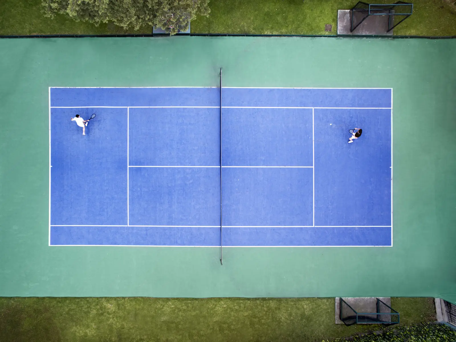 Canada geese control for tennis courts