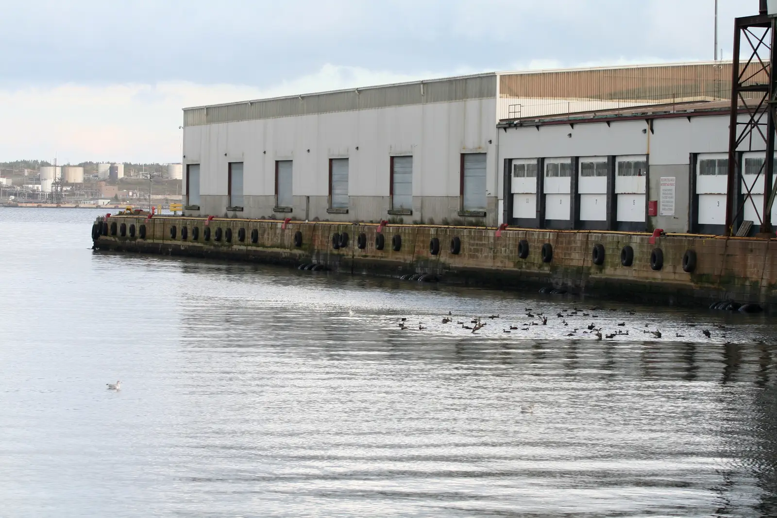 Canada geese control for warehouses and fulfillment centers