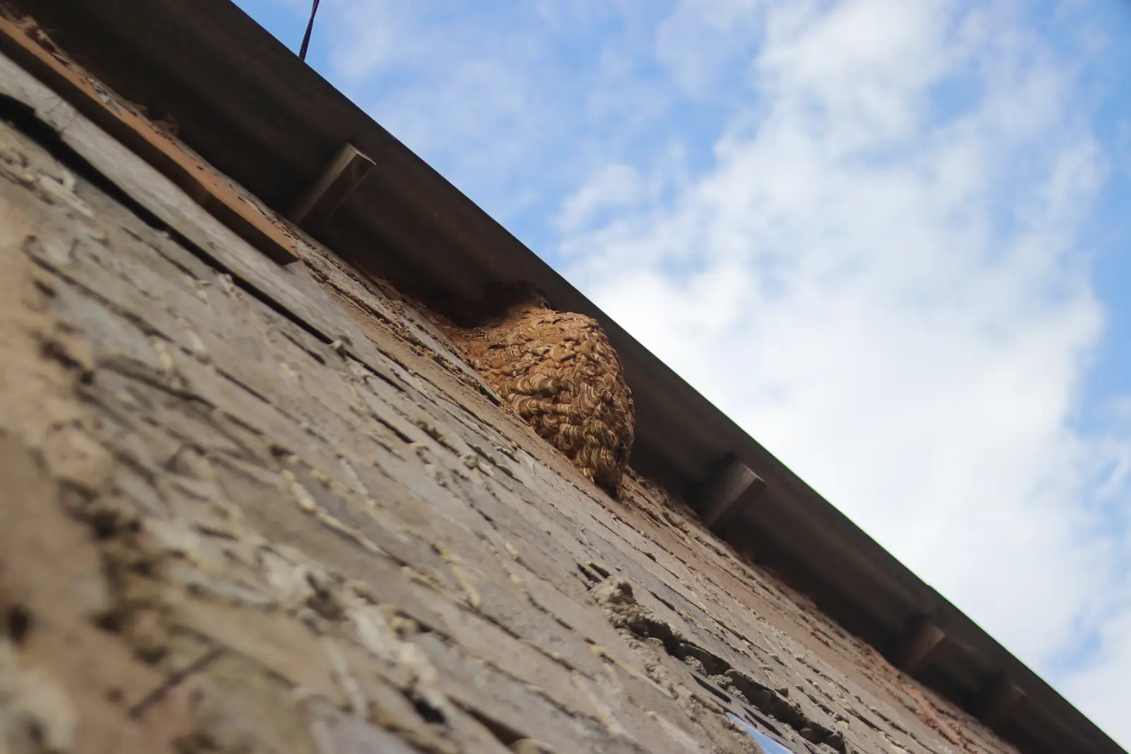 Repair and long-term prevention