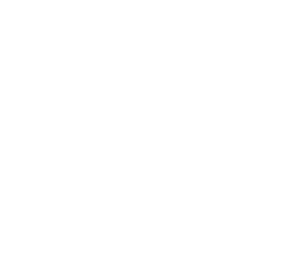 Bird-X products